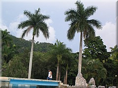 27062005_img_2955_dennis.JPG