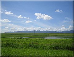 28062005_img_2221_frank.JPG