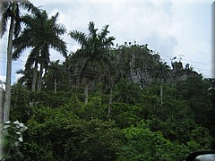 29062005_img_2355_frank.JPG