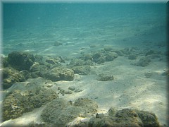 30062005_img_2468_frank.JPG