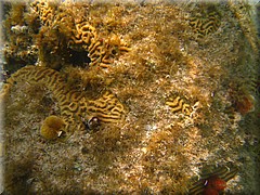 30062005_img_2494_frank.JPG