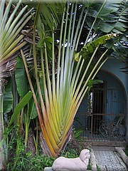 01072005_img_2730_frank.JPG