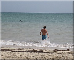 03072005_img_2931_frank.JPG