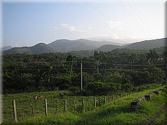 04072005_img_2955_frank.JPG