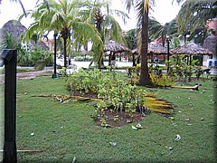 09072005_img_3285_dennis.JPG