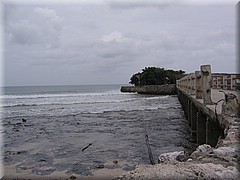 10072005_img_3313_dennis.JPG