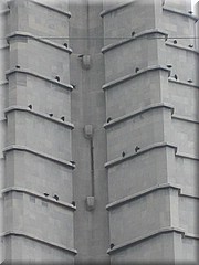 10072005_img_3774_frank.JPG